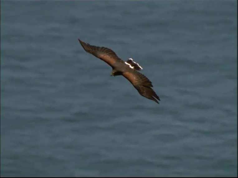 059 Rosamunde Pilcher Odkaz lásky 2005 avi