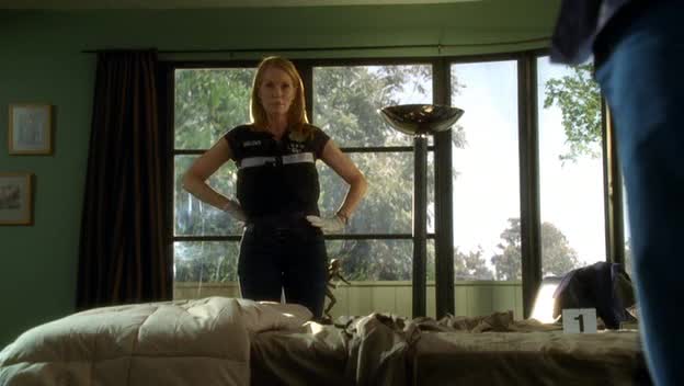 Kriminálka Las Vegas 10x05 Krvavý sport avi