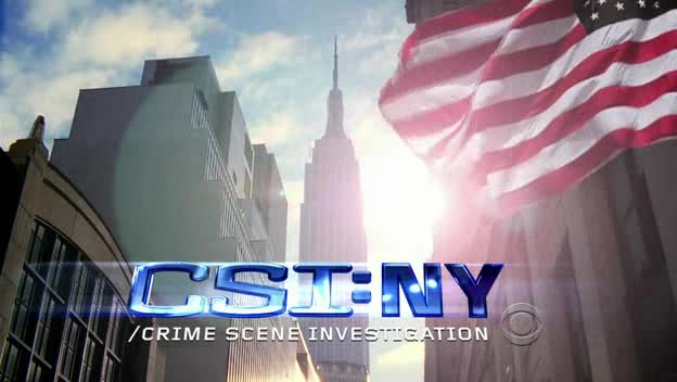 Kriminálka New York S06E07 Zatlučeno avi