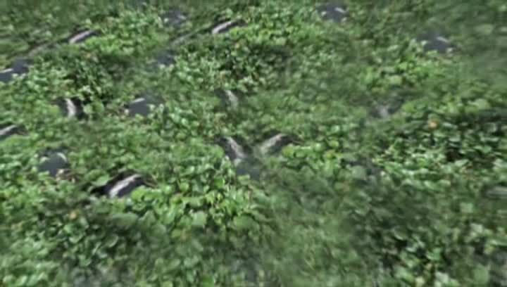 06 Invaze cizích druhů arc avi