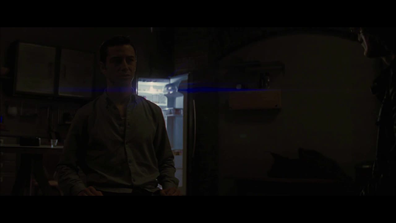 Looper Nájemný zabiják (Joseph Gordon Levitt,Bruce Willis,Emily Blunt 2012 Scifi akční krimi thriller Bdrip 1080p ) Cz dabing avi