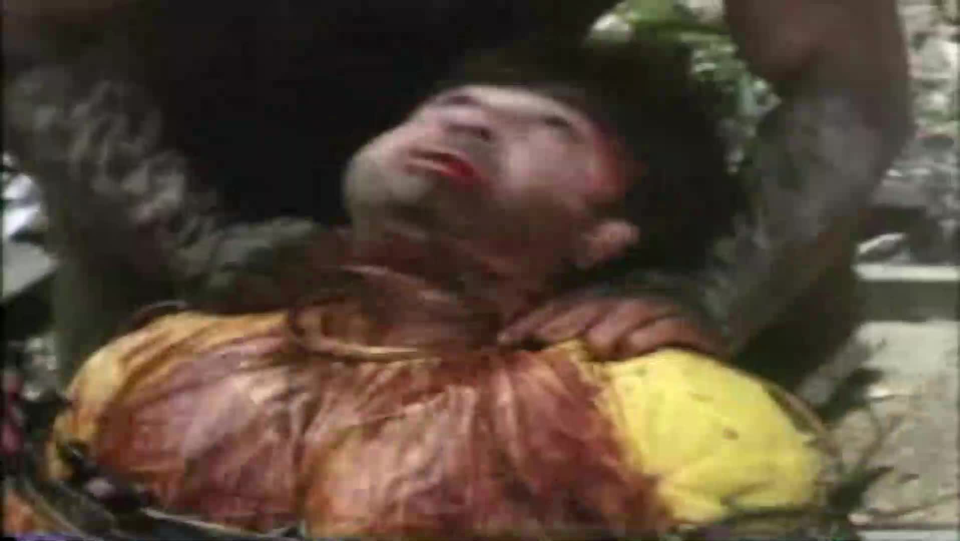 Toxický mstitel 2 (John Altamura,Phoebe Legere,Cutomu Sekine 1989 Komedie Akční Sci Fi Horor Bdrip 1080p ) Cz dabing mp4