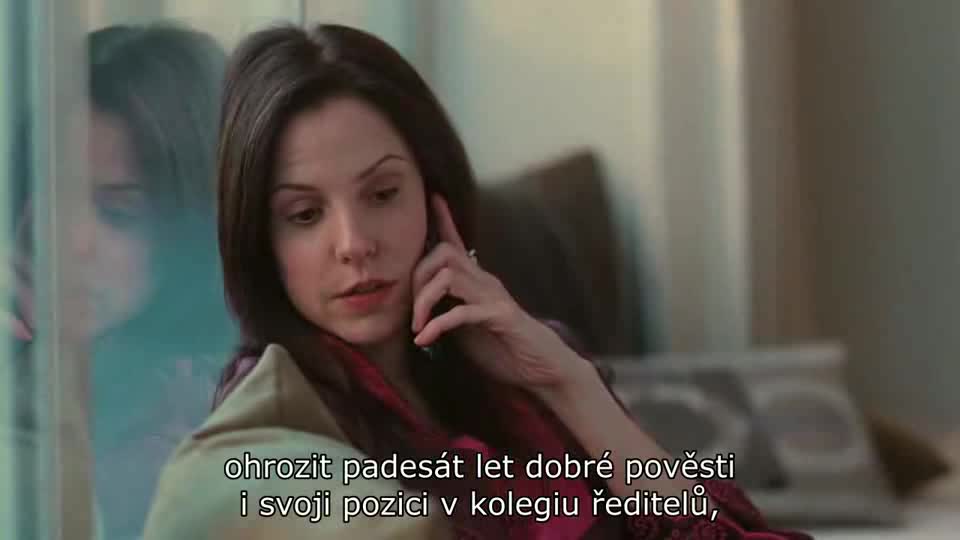 Muž v pokušení (Michael Douglas,Susan Sarandon,Danny DeVito 2009 Drama Komedie Bdrip 1080p ) Cz dabing avi