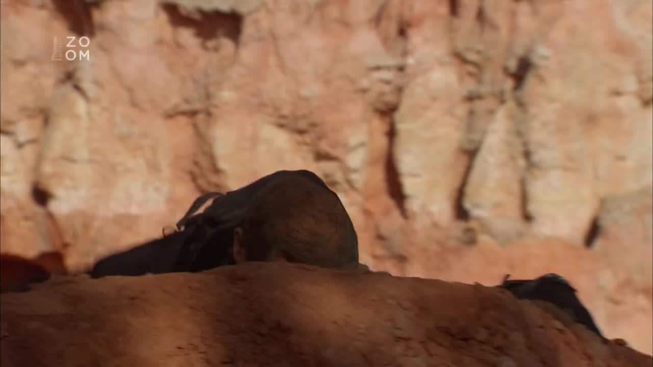 Bear Grylls Muz vs divocina S07E04 Utah Red Rock Country (cz 720p) mp4