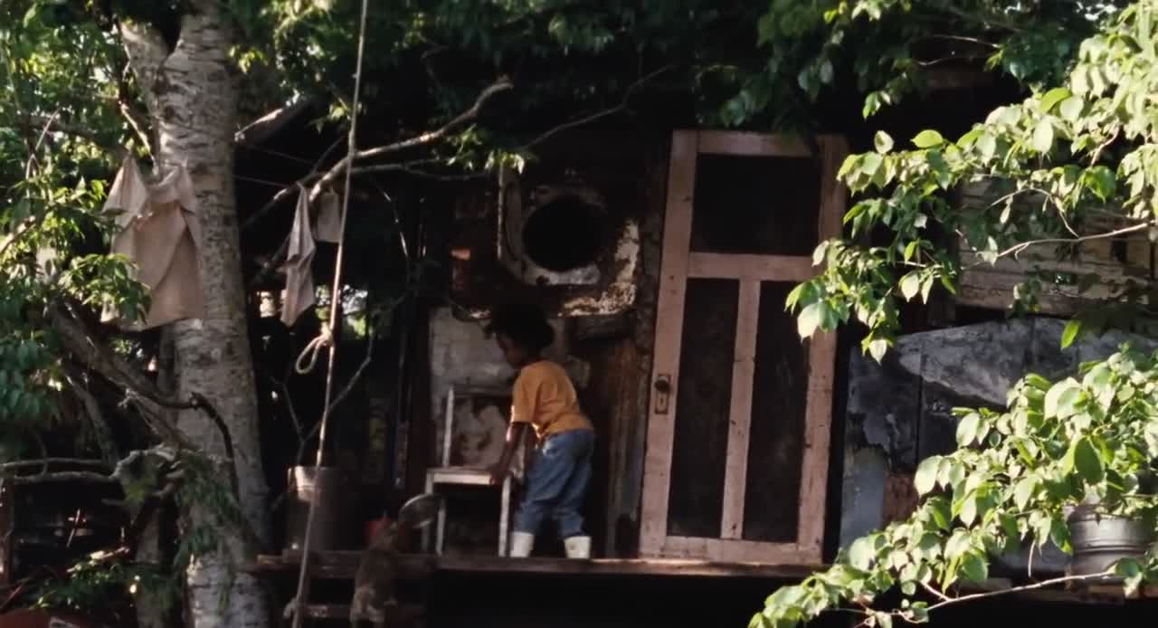 Divoká stvoření jižních krajin Beasts of the Southern Wild (2012)(CZ) 720p mp4