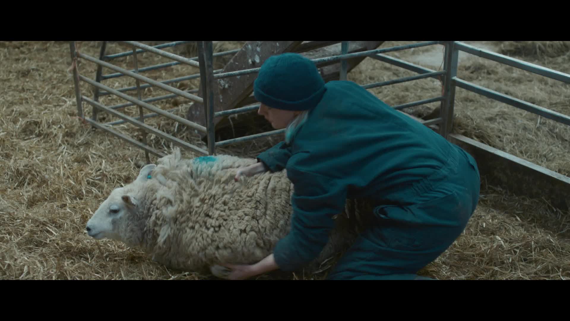 Na samotě 2024 CZ dabing HD 1080p mkv