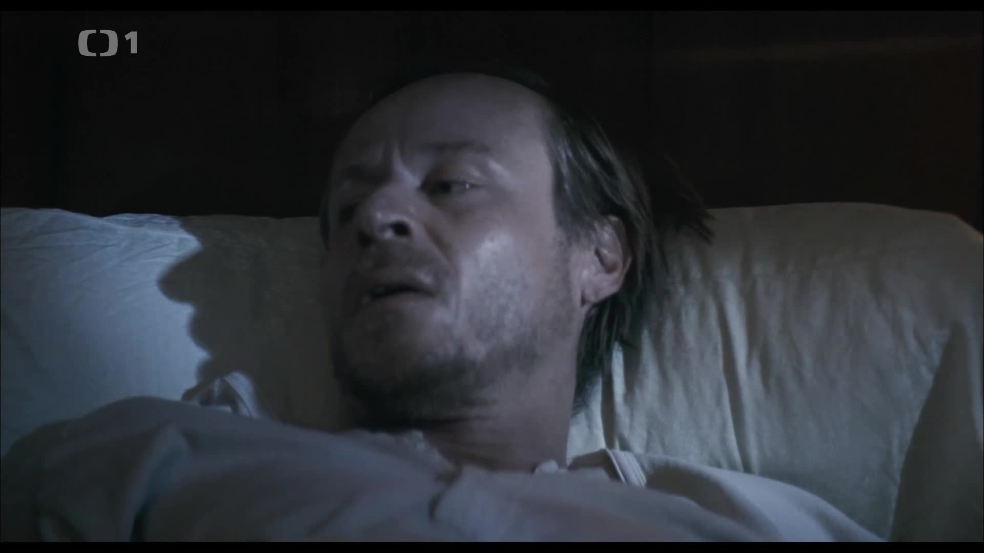 Hlídač č 47 (2008) drama 1080p mkv