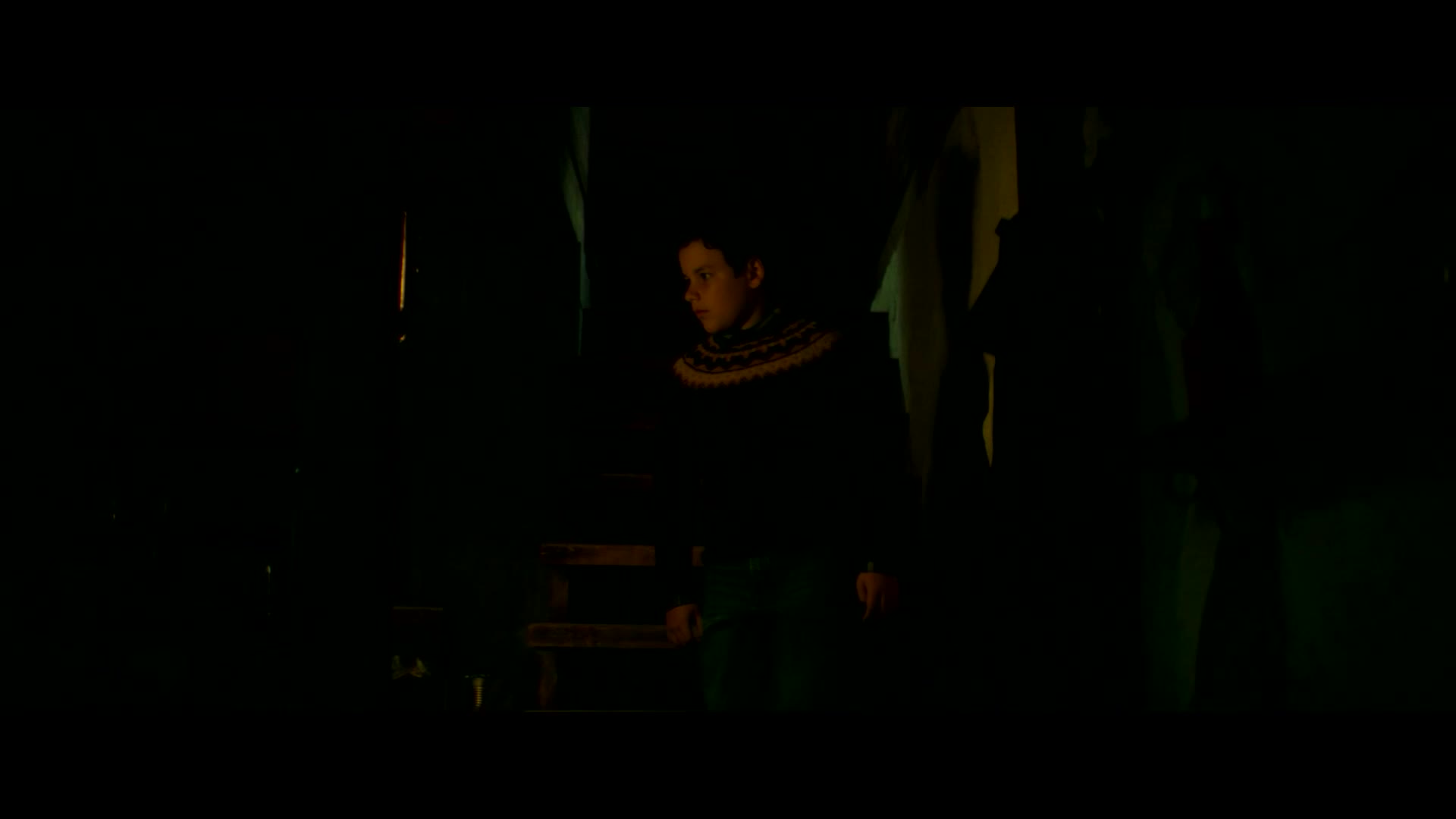 Vlci muz 2025 top kvalita novinka CZ dabing Full HD 1080p Pucci film mp4