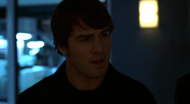 Kriminálka Las Vegas S06E18 24 2005 CZ dab 360p Neobvyklá podezřela avi