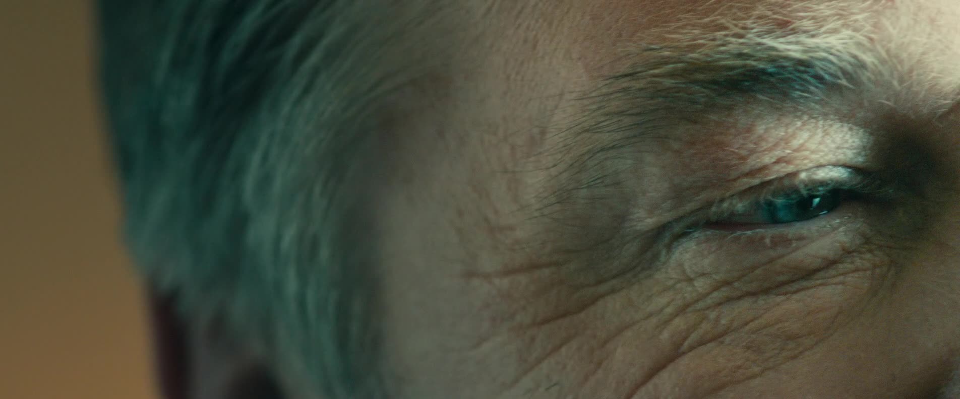 Slepý Blind =2017 CZ mkv