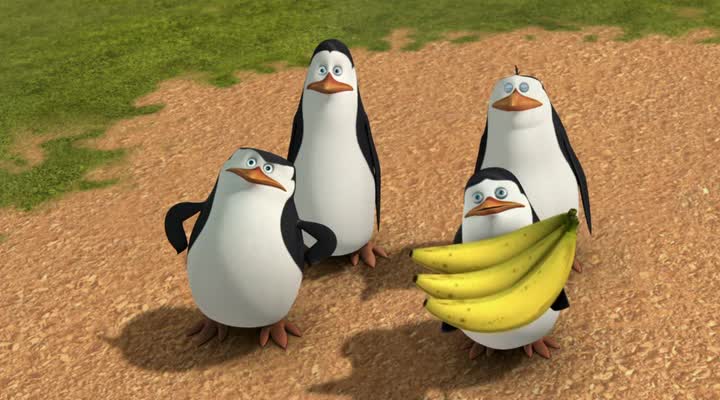 Tucnaci z Madagaskaru 3x23 Bananovi bandite avi