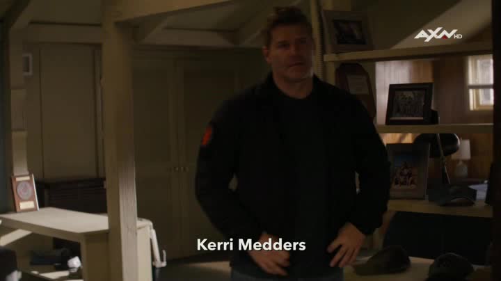 Tým Seal S04E08 Cover for Action (CZ dab) avi