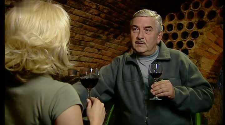 010 3 plus 1 s Miroslavem Donutilem 2007 Vinaři avi