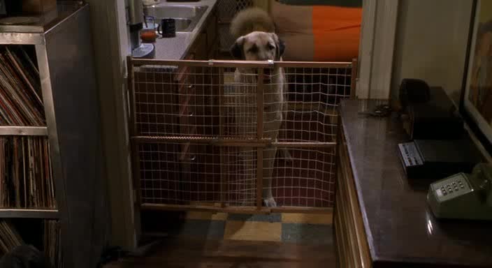 Kate a Leopold =2001,,, CZ avi