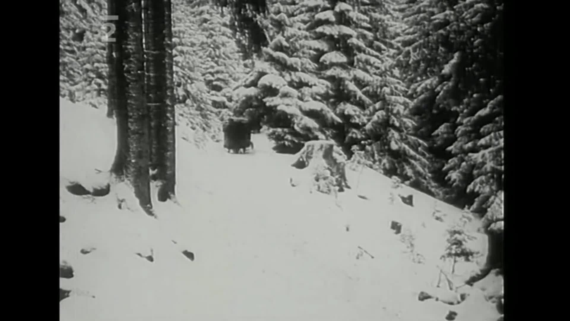 Hledání ztraceného času Dřevo v pohybu mkv